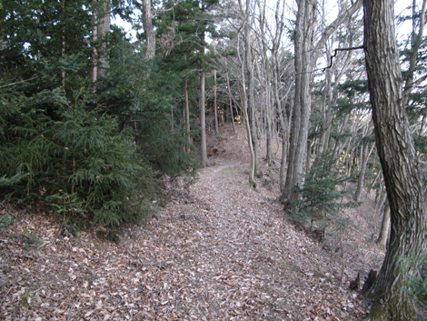 20190108hike (469)